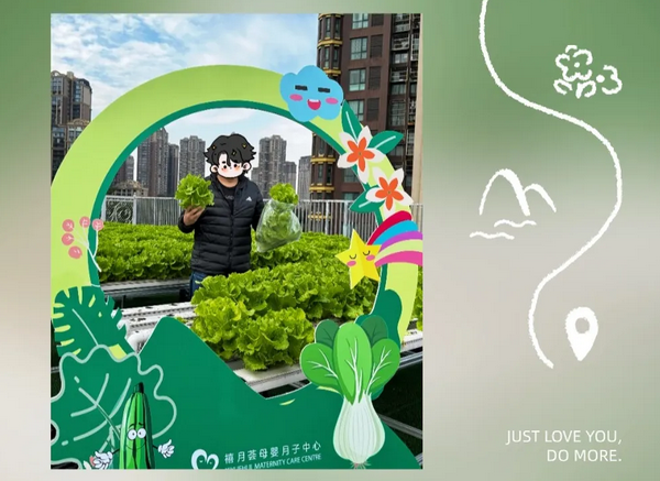 在成都月子中心坐月子，吃上自己采摘的新鮮有機蔬菜啦！4